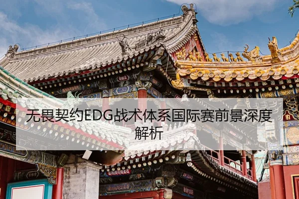无畏契约EDG战术体系国际赛前景深度解析