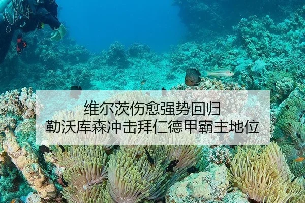维尔茨伤愈强势回归 勒沃库森冲击拜仁德甲霸主地位